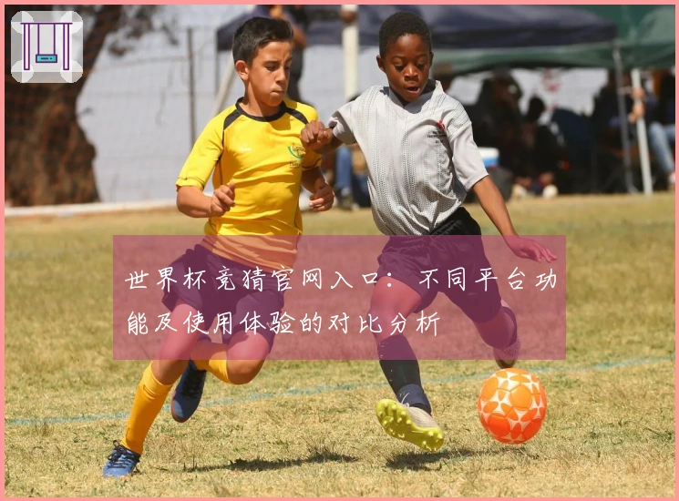世界杯竞猜官网入口：不同平台功能及使用体验的对比分析