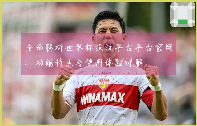 全面解析世界杯投注平台平台官网：功能特点与使用体验详解
