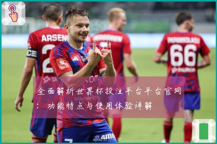 全面解析世界杯投注平台平台官网：功能特点与使用体验详解