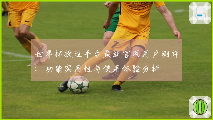 世界杯投注平台最新官网用户测评：功能实用性与使用体验分析
