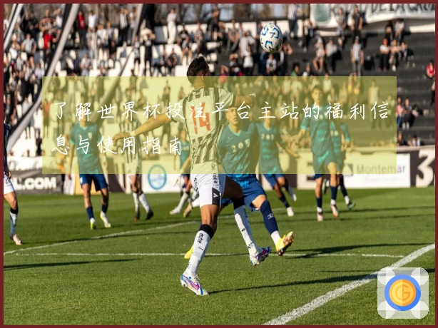 了解世界杯投注平台主站的福利信息与使用指南