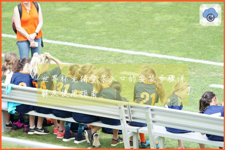 世界杯竞猜登录入口的安装步骤详解及使用指南