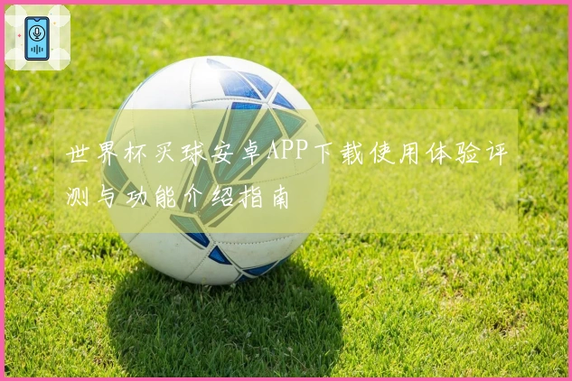 世界杯买球安卓APP下载使用体验评测与功能介绍指南