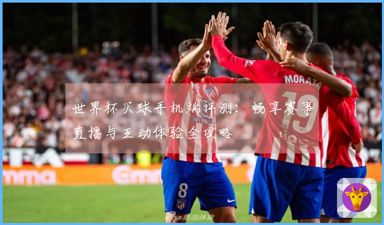 世界杯买球手机端评测：畅享赛事直播与互动体验全攻略